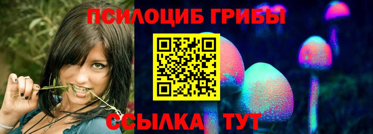 Калуга  Псилоцибиновые грибы Cubensis  наркота  Вход с VPN 